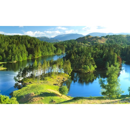 Biggies Scenes Window Well Scenes-Peninsula, 100 in wide x 60 in high BG-WW-PNL-100